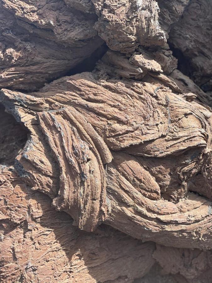 Izaro Apartamento Atico De Lujo Cerca De Playa Dorada Playa Blanca  Eksteriør billede